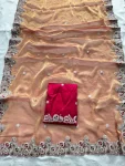 24TRENDING CHIFFON SILK EMBROIDERY WITH PIPING BORDER WORK SAREE WITH UNSTITCHED BLOUSE WEDDING WEAR WHOLESALE PRICE ETHNIC GARMENT (10)