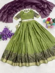 3MODERN SHIMMER WEAVING BORDER AND SILVER-GOLDEN ZARI DETAILING AND BORDER WORK LEHENGA CHOLI WITH DUPATTA FESTIVE WEAR WHOLESALE PRICE ETHNIC GARMENT (28)