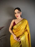 6TRENDING BANARASI TISSUE BUTTI WORK WITH HEAVY BORDER SAREE WITH UNSTITCHED BLOUSE FESTIVE WEAR WHOLESALE PRICE ETHNIC GARMENT (28)