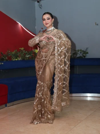 BOLLYWOOD SOFT NET SEQUENCE AND ZARI EMBROIDERY WORK SAREE WITH UNSTITCHED BLOUSE CHIKU