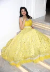 FANCY GEORGETTE ZARI & FOIL PAPER WORK + NET RUFFLE BORDER WORK LEHENGA CHOLI WITH DUPATTA PARTY WEAR WHOLESALE PRICE ETHNIC GARMENT (3)