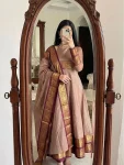 FANCY PATTU COTTON HANDWORK AND JACQUARD WEAVING ZARI BORDER WORK GOWN WITH DUPATTA FESTIVE WEAR WHOLESALE PRICE ETHNIC GARMENT (3)