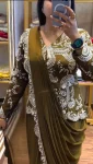 1MODERN CHINON EMBROIDERY WORK READY TO WEAR SAREE WITH STITCHED BLOUSE AND KOTI FESTIVE WEAR WHOLESALE PRICE ETHNIC GARMENT (15)