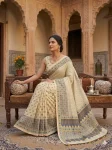 FANCY CHINON AJRAK DIGITAL PRINT WITH REAL MIRROR WORK SAREE WITH UNSTITCHED BLOUSE FESTIVE WEAR WHOLESALE PRICE ETHNIC GARMENT (2)