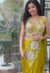 FANCY CHINON EMBROIDERY SEQUENCE WORK READY TO WEAR SAREE WITH STITCHED BLOUSE PARTY WEAR WHOLESALE PRICE ETHNIC GARMENT (4)