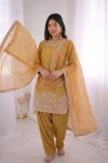 FANCY CREPE SILK EMBROIDERY SEQUENCE WORK WITH HEAVY LACE WORK AND MOTI WORK TOPMPATIYALA WITH DUPATTA FESTIVE WEAR WHOLESALE PRICE ETHNIC GARMENT (2)