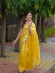 MODERN SATIN SILK PLAIN WITH EMBROIDERY WORK OF JARI DORI WITH REAL MIRROR WORK LACE BORDER SAREE WITH STITCHED BLOUSE PARTY WEAR WHOLESALE PRICE ETHNIC GARMENT (8)