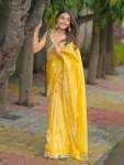 MODERN SATIN SILK PLAIN WITH EMBROIDERY WORK OF JARI DORI WITH REAL MIRROR WORK LACE BORDER SAREE WITH STITCHED BLOUSE PARTY WEAR WHOLESALE PRICE ETHNIC GARMENT (8)
