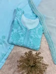 NEW ARRIVAL RAYON EMBROIDERY WORK TOP PALAZZO WITH DUPATTA DAILY WEAR WHOLESALE PRICE ETHNIC GARMENT (3)