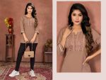 2FANCY RINKAL COTTON EMBROIDERY WORK ONLY TOP DAILY WEAR WHOLESALE PRICE ETHNIC GARMENT (4) – Copy