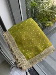 MODERN JACQUARD BUTTI SILK FANCY LACE BORDER WORK SAREE WITH UNSTITCHED BLOUSE PARTY WEAR WHOLESALE PRICE ETHNIC GARMENT (4)