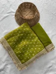MODERN JACQUARD BUTTI SILK FANCY LACE BORDER WORK SAREE WITH UNSTITCHED BLOUSE PARTY WEAR WHOLESALE PRICE ETHNIC GARMENT (4)