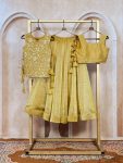 MODERN SALSA CRUSH PLAIN LEHENGA CHOLI WITH ZARI & SEQUENCE EMBROIDERY WORK WITH PEARL & MOTI LACE WORK KOTI WEDDING WEAR WHOLESALE PRICE ETHNIC GARMENT (10)