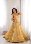 MODERN SALSA CRUSH PLAIN LEHENGA CHOLI WITH ZARI & SEQUENCE EMBROIDERY WORK WITH PEARL & MOTI LACE WORK KOTI WEDDING WEAR WHOLESALE PRICE ETHNIC GARMENT (10)