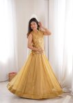 MODERN SALSA CRUSH PLAIN LEHENGA CHOLI WITH ZARI & SEQUENCE EMBROIDERY WORK WITH PEARL & MOTI LACE WORK KOTI WEDDING WEAR WHOLESALE PRICE ETHNIC GARMENT (10)