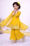 1TRADITINAL GEORGETTE EMBROIDERY WORK KID’S TOP PALAZZO WITH DUPATTA FESTIVE WEAR WHOLESALE PRICE ETHNIC GARMENT (2)