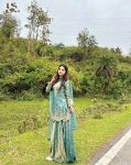 DESIGNER FENDY SILK EMBROIDERY SEQUENCE CODING AND REAL MIRROR HAND WORK TOP PALAZZO WITH DUPATTA FESTIVE WEAR WHOLESALE PRICE ETHNIC GARMENT (1)