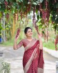 MODERN LICHI SILK JACQUARD BORDER WORK SAREE WITH UNSTITCHED BLOUSE FESTIVE WEAR WHOLESALE PRICE ETHNIC GARMENT (3)