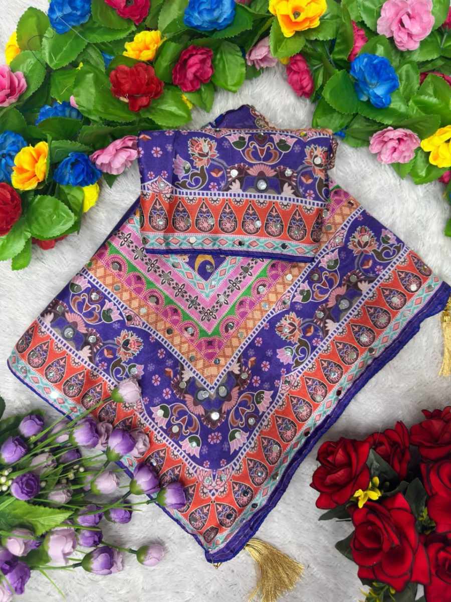 RICH LOOK CHINON SILK MIRROR HANDWORK, PIPING BORDER WITH TASSELS SAREE WITH UNSTITCHED BLOUSE WEDDING WEAR WHOLESALE PRICE ETHNIC GARMENT (4)