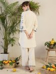BILLYWOOD COTTON FLEX EMBROIDERY WORK CO-ORD SET DAILY WEAR WHOLESALE PRICE ETHNIC GARMENT (9)