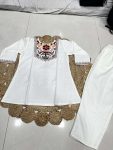 FABULOUS RAYON SLUB EMBROIDERY WORK CO-ORD SET OFFICE WEAR WHOLESALE PRICE ETHNIC GARMENT (2)