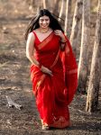 MODERN SOFT COTTON WEAVING WORK SAREE WITH UNSTITCHED BLOUSE FESTIVAL WEAR WHOLESALE PRICE ETHNIC GARMENT (3)