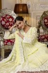14MODERN-MUL-COTTON-LAKHNOWI-WORK-GOWN-BOTTOM-WITH-DUPATTA-FESTIVE-WEAR-WHOLESALE-PRICE-ETHNIC-GARMENT-3.jpg