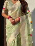 1FABULOUS-ORGANZA-MEENAKARI-ZARI-WOVEN-WORK-SAREE-WITH-UNSTITCHED-BLOUSE-WEDDING-WEAR-WHOLESALE-PRICE-ETHNIC-GARMENT-6.jpg