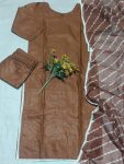 1FANCY-SLUB-COTTON-LACE-BORDER-WORK-TOP-BOTTOM-WITH-DUPATTA-DAILY-WEAR-WHOLESALE-PRICE-ETHNIC-GARMENT-3.jpg