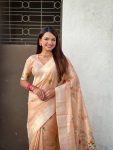 2FABULOUS-ORGANZA-MEENAKARI-ZARI-WOVEN-WORK-SAREE-WITH-UNSTITCHED-BLOUSE-WEDDING-WEAR-WHOLESALE-PRICE-ETHNIC-GARMENT-6.jpg