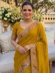 DESIGNER-GEORGETTE-EMBROIDERY-CUTWORK-WORK-ARCO-BORDER-SAREE-WITH-UNSTITCHED-BLOUSE-WEDDING-WEAR-WHOLESALE-PRICE-ETHNIC-GARMENT-4.jpg