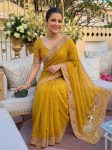 DESIGNER-GEORGETTE-EMBROIDERY-CUTWORK-WORK-ARCO-BORDER-SAREE-WITH-UNSTITCHED-BLOUSE-WEDDING-WEAR-WHOLESALE-PRICE-ETHNIC-GARMENT-4.jpg