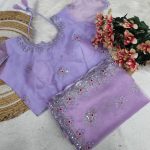 DESIGNER-ORGANZA-SILK-SEQUENCE-EMBROIDERY-WITH-ARC-CUTTING-BORDER-SAREE-WITH-STITCHED-BLOUSE-PARTY-WEAR-WHOLESALE-PRICE-ETHNIC-GARMENT-2.jpg