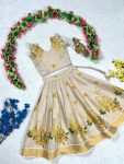 FANCY-TISSUE-SILK-PRINT-WORK-KIDS-LEHENGA-CHOLI-FESTIVE-WEAR-WHOLESALE-PRICE-ETHNIC-GARMENT-1.jpg