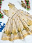 FANCY-TISSUE-SILK-PRINT-WORK-KIDS-LEHENGA-CHOLI-FESTIVE-WEAR-WHOLESALE-PRICE-ETHNIC-GARMENT-1.jpg