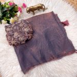 MODERN-FENDY-SATIN-ARC-BORDER-WITH-TUSSEL-WORK-SAREE-WITH-UNSTITCHED-BLOUSE-PARTY-WEAR-WHOLESALE-PRICE-ETHNIC-GARMENT-2.jpg