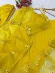 MODERN-NYLLON-ORGANZA-THREAD-WORK-WITH-FANCY-LACE-WORK-INNER-TOP-SHRUG-BOTTOM-AND-DUPATTA-FESTIVE-WEAR-WHOLESALE-PRICE-ETHNIC-GARMENT-1.jpg