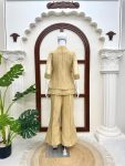 TRENDING-SALSA-CRUSHED-HAND-WORK-CO-ORD-SET-FESTIVE-WEAR-WHOLESALE-PRICE-ETHNIC-GARMENT-11.jpg