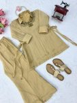 TRENDING-SALSA-CRUSHED-HAND-WORK-CO-ORD-SET-FESTIVE-WEAR-WHOLESALE-PRICE-ETHNIC-GARMENT-11.jpg