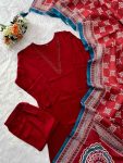 2MODERN-RAYON-MINIMAL-LACE-WORK-TOP-BOTTOM-WITH-DUPATTA-CASUAL-WEAR-WHOLESALE-PRICE-ETHNIC-GARMENT-16.jpg