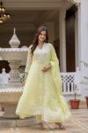 6RICH-LOOK-MUL-COTTON-LUCKNOWI-WORK-GOWN-BOTTOM-WITH-DUPATTA-FESTIVE-WEAR-WHOLESALE-PRICE-ETHNIC-GARMENT-2.jpg