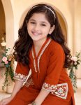ATTRACTIV COTTON BLEND EMBROIDERY KID’S TOP DUPATTA DAILY WEAR WHOLESALE PRICE ETHNIC GARMENT (8)