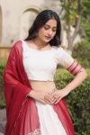 NEW-ARRIVAL-JACQUARD-CHECK-ZARI-TEMPLE-WEAVING-WORK-LEHENGA-CHOLI-WITH-DUPATTA-FESTIVE-WEAR-WHOLESALE-PRICE-ETHNIC-GARMENT-2.jpg